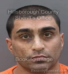 Booking photo from Hillsborough County, Florida