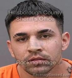 Booking photo from Hillsborough County, Florida