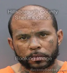 Booking photo from Hillsborough County, Florida