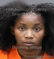 Mugshot of DES'STANEE ANTWANETTE DUHART