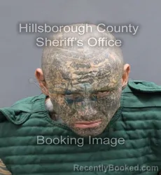 Mugshot of EMILIANO SEFERINO TORRES