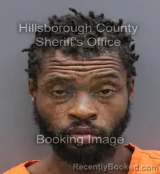 Mugshot of PARIS D BROOKS