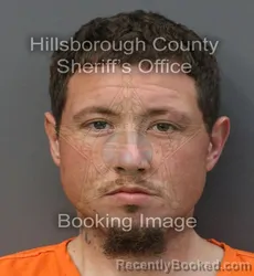 Mugshot of AUSTIN REGINALD PELKEY