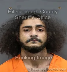 Mugshot of SEYED DANIAL HOSSEININIA