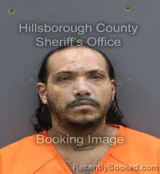 Mugshot of WILFREDO JR MORELL