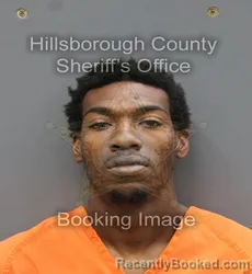 Mugshot of TYREESE TERRELL WIGFALL