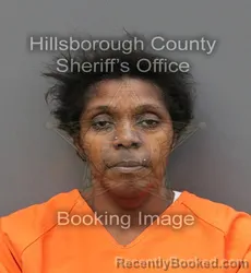 Mugshot of CLARICE IRIS ANDERSON