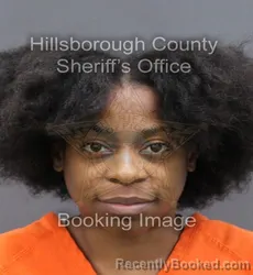 Mugshot of TISHARA DESHAWN SANDERS
