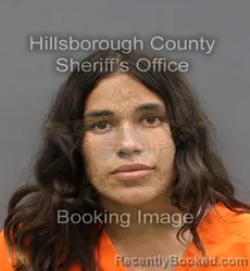 Mugshot of DONNA FERRER