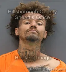 Mugshot of DOMINIQUE FILS FLETCHER