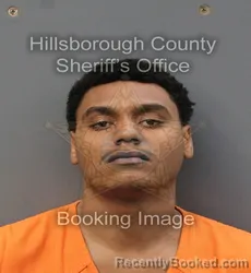 Mugshot of QAHMIR ANTHONY FUMAROLA