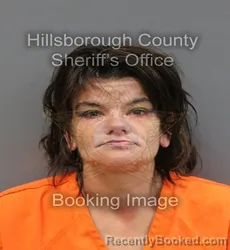 Mugshot of KATHERINE L LARSEN