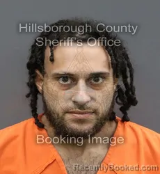 Mugshot of HECTOR DANIEL TORRES