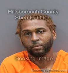 Mugshot of JERMAINE DEMARCUS BURNEY