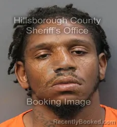 Mugshot of WESLEY JEROME LEON