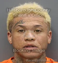 Mugshot of MARIO ANDRES VARGAS