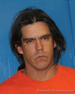 Mugshot of LONNY ALLAN LEWIS