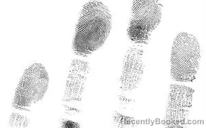 Mugshot of SHANE MICHAEL JONES