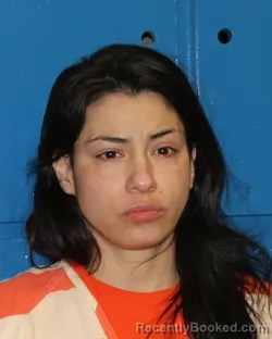 Mugshot of LIZA RENAE HOWLAND