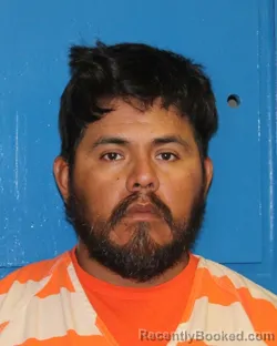 Mugshot of ENEDINO PERALES-VILLANUEVA