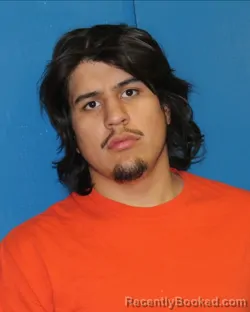 Mugshot of CHRISTOPHER YOGI JR HERRERA