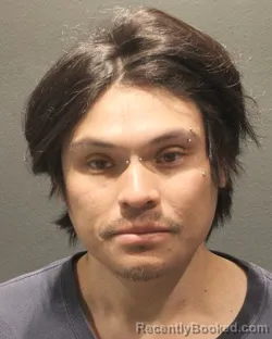 Mugshot of RONALD MONTANO VARGAS