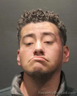 Mugshot of MARCO TULIO LOPEZ PALMA