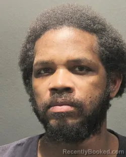 Mugshot of CHRISTOPHER DAVION MARQUES WILLIAMS