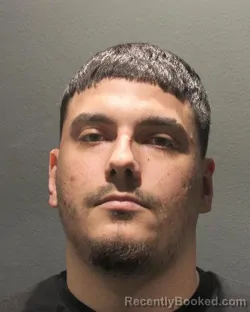 Mugshot of ROBERTO HENRIQUE SANTOS SCHNEIDER