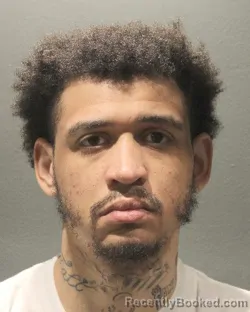 Mugshot of DERRICK M LESHER