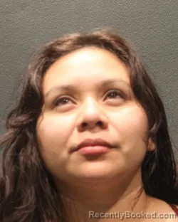 Mugshot of YADIRA N VASQUEZ SANCHEZ