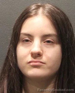 Mugshot of LILY JULIANNA NEUVELT