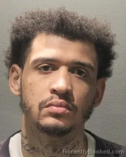 Mugshot of DERRICK M LESHER