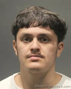 Mugshot of LUIS F AGUILAR ARROYO