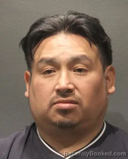 Mugshot of DIETER ALEJANDRO ROJAS SOTO