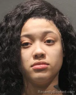 Mugshot of SARA JASMIN HERNANDEZ