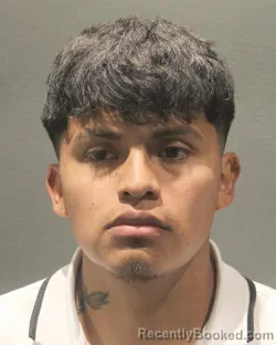 Mugshot of JASMANI CARTAGENA FLORES