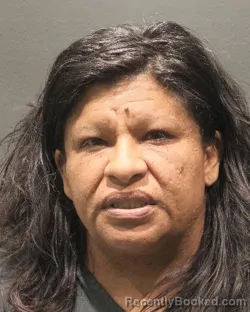 Mugshot of SONIA DIAZ GOMEZ