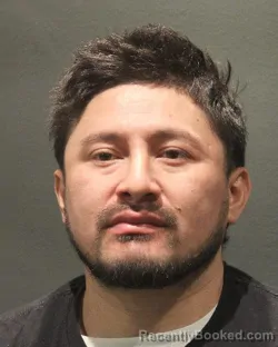 Mugshot of SILFREDO ANT CASTILLO CANALES