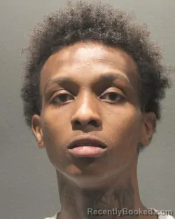 Mugshot of MICHAEL ANDERSON