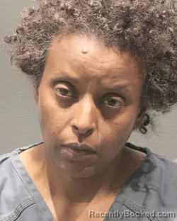 Mugshot of EYERUSALEM BEKURE FESEHAYE