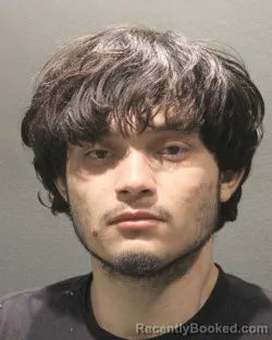 Mugshot of ELVIS S PAZ VILLATORO