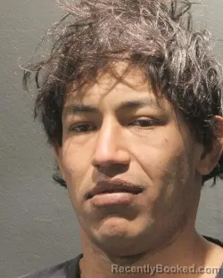 Mugshot of LUIS ALEJANDRO DIAZ RODRIGUEZ
