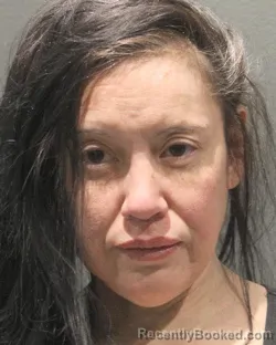 Mugshot of MELISSA LENSER KRESSLEIN