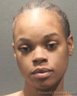 Mugshot of SHAMEKA EBONY THOMAS