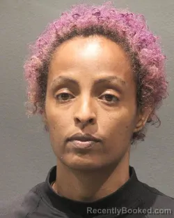 Mugshot of TSION FILFIE