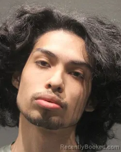 Mugshot of DASH ERIK COPA