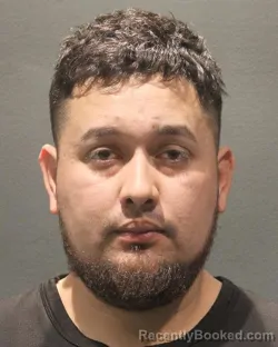 Mugshot of ALBERTO MENJIVAR