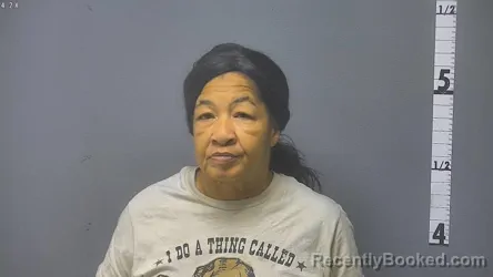 Mugshot of CHRISTY ANN SCOTT