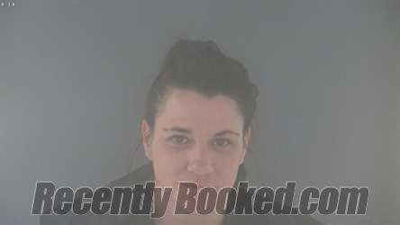 Booking photo from Bedford County, Virginia